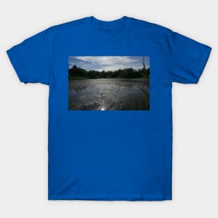 Lakeside View T-Shirt